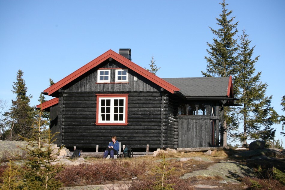 2009
