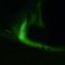Nordlys over Harstad