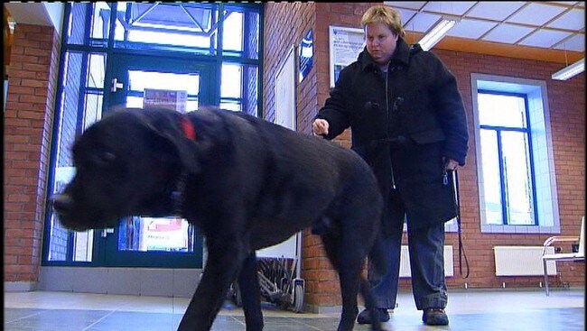 Førerhund og eier Tone