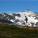 På ruta mellom Storerikvollen og ned mot Nedalshytta. Storsola i bakgrunnen.