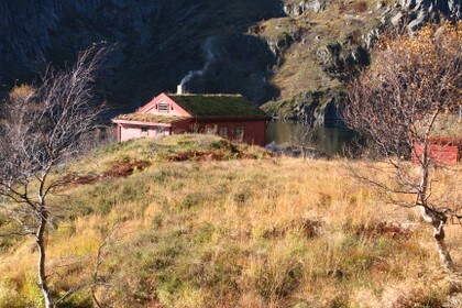 Storavassbu