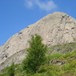 Kvamshesten i Sunnfjord