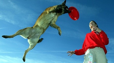 Frisbee (Foto: FRANK AUGSTEIN/Scanpix/AP)