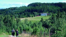 På vei gjennom kulturlandskapet ved gamle Tunga gård.