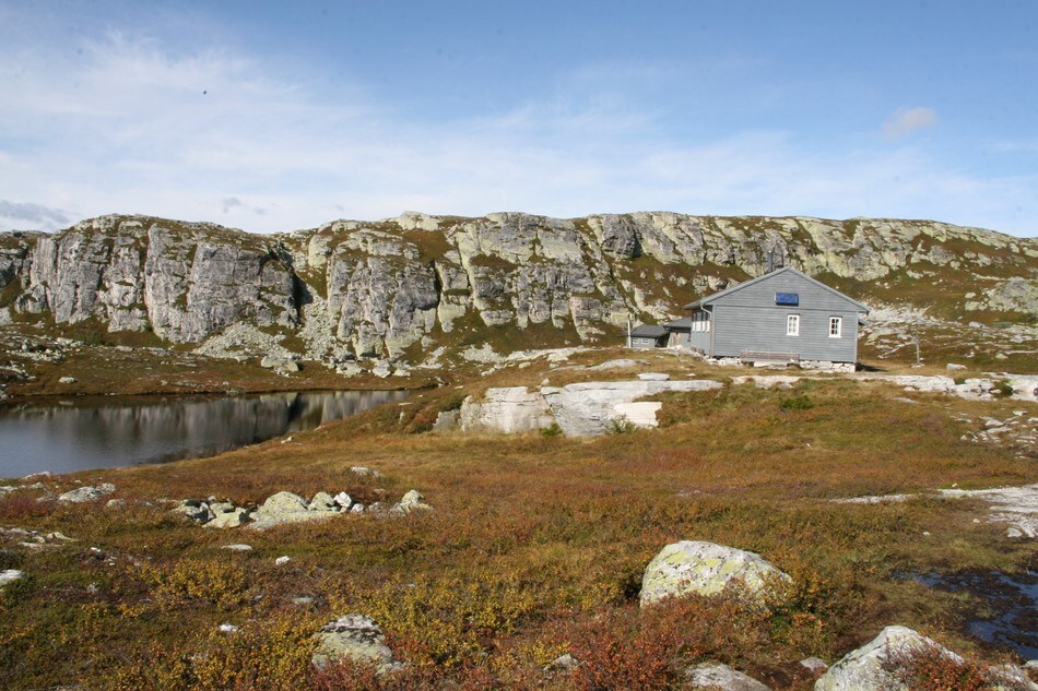 2009