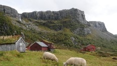 Sandsa