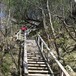 Stoltzekleiven. Tretrapper det siste stykket
