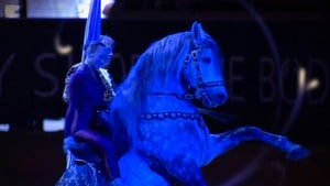 Oslo Horse Show