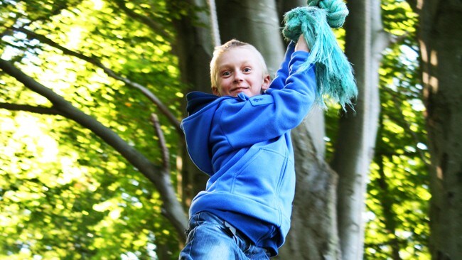 Lekeplass i skogen (Foto: Vibeke Johansen ) Lekeplass i skogen (Foto: Vibeke Johansen )