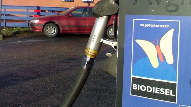 Biodiesel (Foto: Øystein Skotte/NRK) Biodiesel (Foto: Øystein Skotte/NRK)