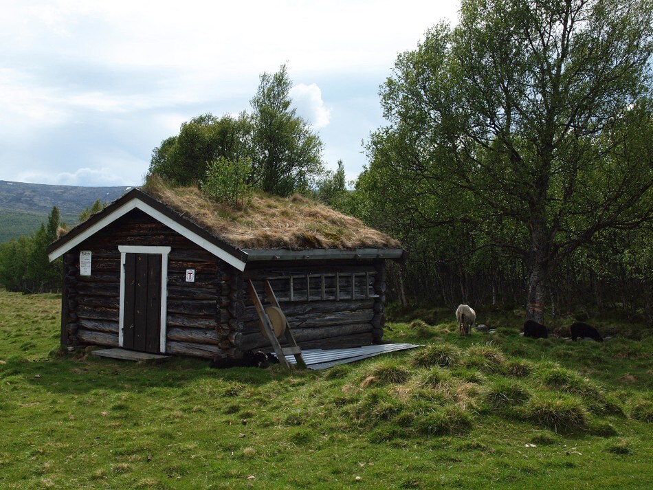 Uthuset ved Storgrytdalseter St. Hans, 24.juni 2010