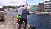 Redningsstiger ved restaurantområder - Havnevesenet i Arendal vil nå sikre havneområdet i Pollen, etter flere ulykker de siste årene. En ny type redningsstige skal prøves ut ved det populære restaurantområdet i byen.