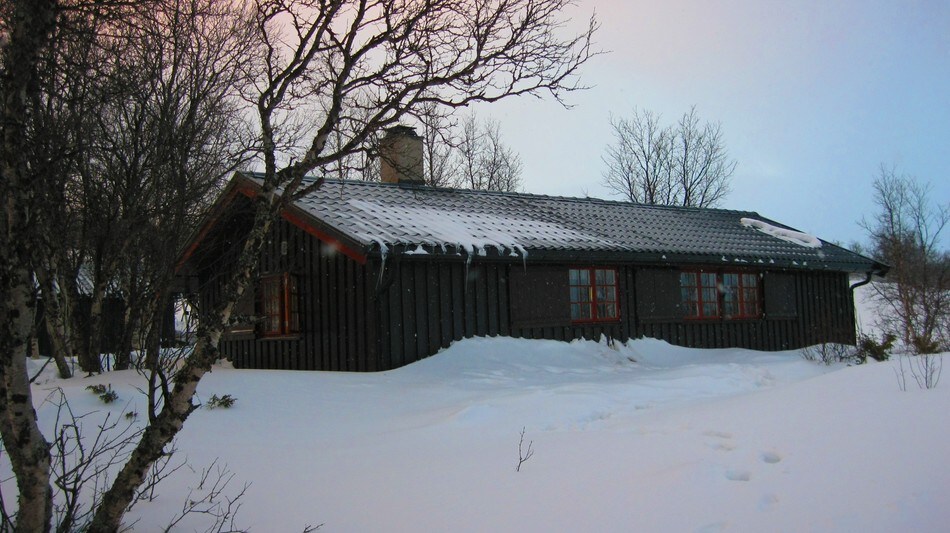 Skriurusten, mars 2011