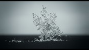 Kortfilm: Snø  - Nominert til Filmpolitiets kortfilmpris 2013.

Regissør og manus: Anders Teig
