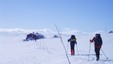 Kvisteløyper til vinterferien 2012