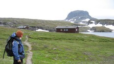 Torehytten