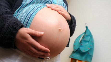 Gravid (Colourbox.com)