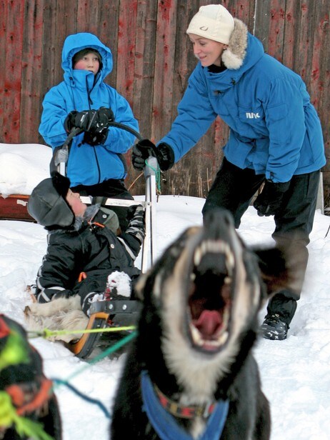 Hundesledetur (Foto: Benjamin Hjort/NRK) Hundesledetur (Foto: Benjamin Hjort/NRK)