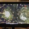 Meteorolog Jessica Schauer ved National Hurricane Center følger spent med på hvordan Earl utvikler seg. 