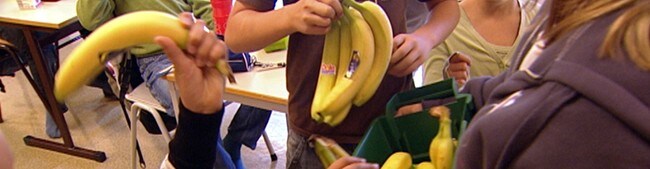 Frukt på skulen (Foto: Torje Bjellaas/NRK) Frukt på skulen (Foto: Torje Bjellaas/NRK)