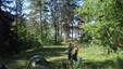 Skapertjern