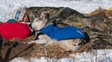Blund på sjekkpunkt (Foto: Steinar Wall)