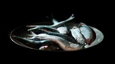 Matfisk blir fôrfisk  (Foto: Magnus Tingman (bilde fra filmen)/NRK)