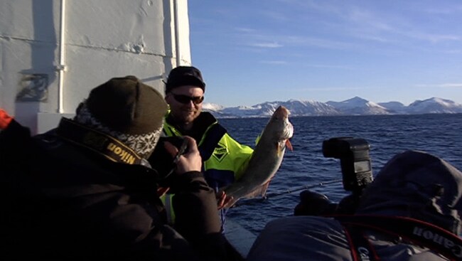 Franskmenn på skreitur i Vesterålen (Foto: Jens Kyed/NRK)