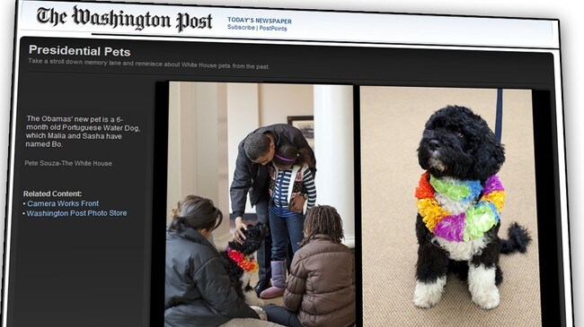 Obamas nye hund (Foto: The Washington Post) Obamas nye hund (Foto: The Washington Post)