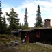Tjuvenborgkoia