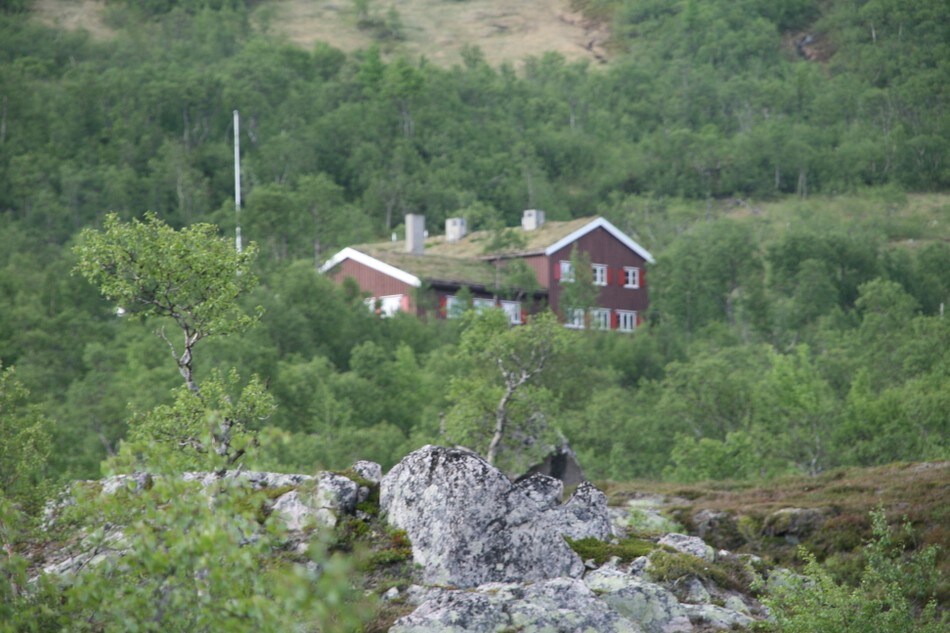 Nedalshytta i sommerprakt 2011