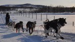Ralph Johannessen kommer inn til Neiden 2 under Finnmarksløpet