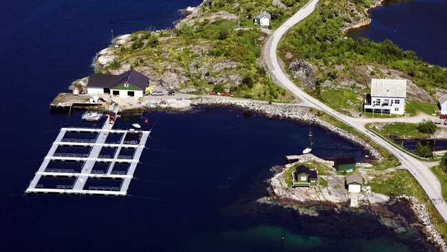 Ånneland oppdrett (Foto: Merete Høidal/NRK) Ånneland oppdrett (Foto: Merete Høidal/NRK)