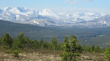 Ved Rondane (Foto: Dagny Røstum Voll) Ved Rondane (Foto: Dagny Røstum Voll)