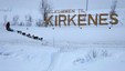 I år skal hundene inn i byen