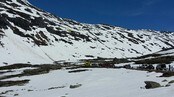 Ulukke ved Stryn sommarskisenter (Foto: Silje Guddal/NRK) Ulukke ved Stryn sommarskisenter (Foto: Silje Guddal/NRK)