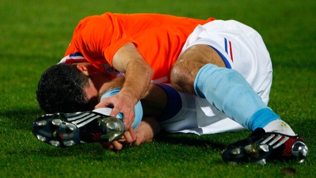 Robin van Persie  (Scanpix/Reuters)