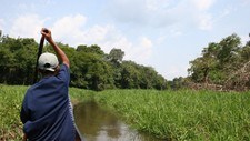 Amazonas  (Foto: Morten W. Røkeberg)