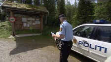 Video BJØRNEJAKT-290710-NT_TL.mp4 (Foto: Nyhetsspiller)