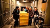 Her ankommer Boonya Kristiansand - Dyreparkens nye sibirske hunntiger kom til Kristiansand i går kveld, etter et døgn på reise. I dag brukte hun dagen til å venne seg til helt nye og uvante omgivelser.