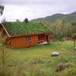 Storlisetra