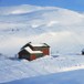 Taumevatn