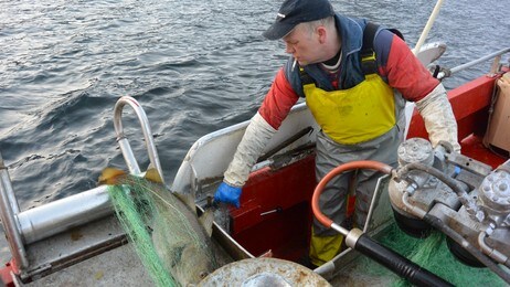 Leif-Tore Dybvik (Foto: Olaug Bjørneset/NRK) Leif-Tore Dybvik (Foto: Olaug Bjørneset/NRK)