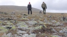 På tur i Rondane (Foto: Helle Therese Kongsrud/NRK) På tur i Rondane (Foto: Helle Therese Kongsrud/NRK)