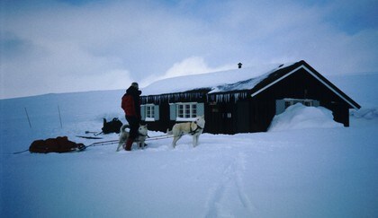 Med hunder på Gråhøgdbu