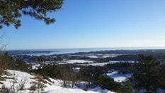 Solskinsdag med nydelig utsikt ut mot Larviksfjorden 