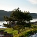 Egnarbua og strandenga