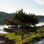 Egnarbua og strandenga
