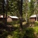 Svartskogkoia