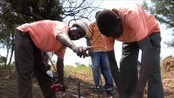 Bøndene tar over for minerydderne - I Sør-Sudan går det ikke lang tid fra minerydderne flytter ut til bøndene tar mraken i bruk.